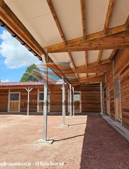 TOP Qualität und Preis - Pferdestall bauen, Stallbau, Pferdebox, Außenboxen und Offenstall kaufen, Weidehütten, Unterstand für Pferde und Alpakas. - Kolbingen