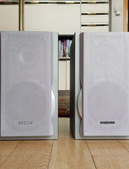 DAEWOO Hifi Lautsprecher BOXEN - RH-433G 2 Weg System Top Design - Dübendorf