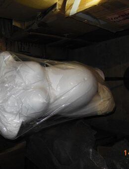 Torso Schwanger - - Allgäu - TOM - München Maxvorstadt
