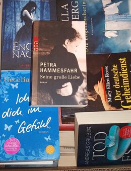 Romane, Krimi, Bestseller-48 div. Titel in einem Karton verpackt. - Hünstetten