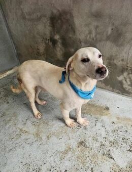 Zutraulicher Floco - Eichenzell