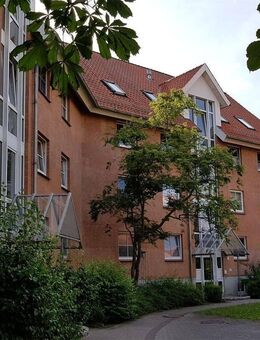 Schöne 3-Raum Wohnung in Gerstungen zu vermieten! - Gerstungen