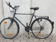 Herrenfahrrad 28 " - Leipzig Südwest