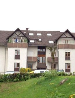 Toll geschnittene 3 ZKB-Wohnung in Herborn-Seelbach - Herborn (Hessen)