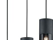 TRIO Leuchten Pendelleuchte ROBIN, ohne Leuchtmittel, Hängeleuchte, Hängelampe