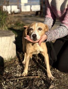 Nyafi möchte ihr Herz verschenken - Heinsberg