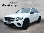 Mercedes C 43 AMG, G GL Panodach, Jahr 2018 - Frechen