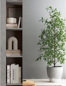 INOSIGN Garderobenschrank Hamburg, Breite 91 cm Höhe 209 cm