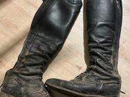 Gebrauchte Lederreitstiefel Reitstiefel - Ulm