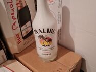 Malibu Liquer - Gütersloh