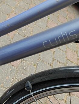 Curtis Damenrad 28" - Neustadt (Rübenberge)