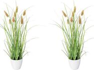 Kunstgras Grasbusch Lagurus Gras, Creativ green, Höhe 40 cm