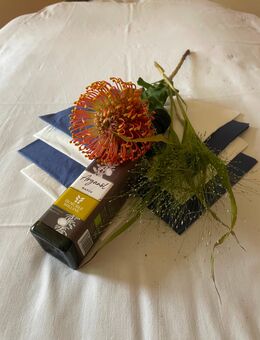 Exclusive Ayurveda Faszienbehandlung - Warburg (Hansestadt) Warburg