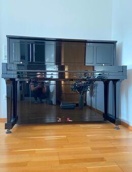 Steinway & Sons (1966, SN 393751) - Generalüberholung 2015 + adsilent PRO - Bielefeld