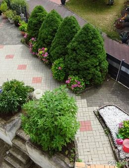 ** Attraktives und renditestarkes Mehrfamilienhaus mit 8 Wohnungen und Parkplätze in guter Lage ** - Echzell