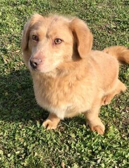 Räuber mit Kämpferherz - Itzehoe