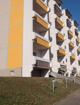 gemütliche 2 Raum Wohnung mit Balkon und Badewanne - Döbeln