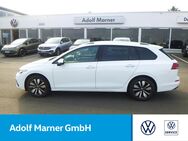 VW Golf Variant, MOVE, Jahr 2023 - Nastätten