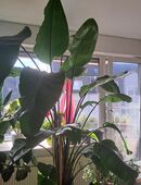 Bis das der T . . uns scheidet in 44379