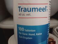 Traumeel für Hund und Katze NEU - Balve