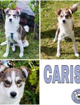 CARISA -sanft & menschenbezogen- - Duisburg