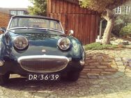 Austin Healey MK1 1959 - Sankt Augustin