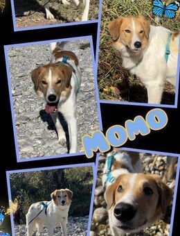 Momo wartet in München! - Nürnberg