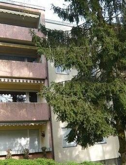 charmante 3-Zimmer-Wohnung mit Sonnenbalkon sucht nette Mieter - Röthenbach (Pegnitz)