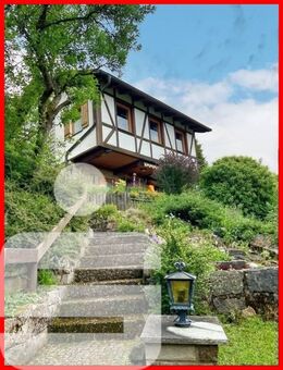 Münchsteinach - kleines, charmantes Wohnhaus mit schöner Fernsicht - Münchsteinach