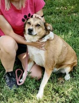 Gutmütig fröhlich sozial = JOHNNY ♥️ - München