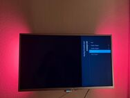 Philips Fernseher 32 Zoll Ambilight - Niefern-Öschelbronn