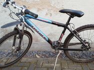 Fahrrad 26 Zoll - Rackwitz