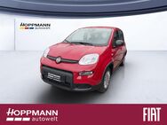 Fiat Panda, 1.0 PANDINA ) GSE CITY-PAKET, Jahr 2022 - Siegen (Universitätsstadt)