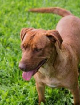 ELLI - freundlich fröhlich durch den Tag - Overath