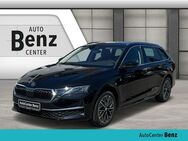 Skoda Octavia, 2.0 TDI Combi Exclusive EXCLUSIVE LODGE, Jahr 2024 - Laupheim