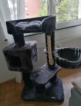 Katzenbaum abzugeben - Hamm