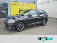 VW Tiguan, Comfortline, Jahr 2017 - Warburg (Hansestadt)