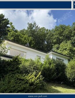 Helle Erdgeschosswohnung mit neuer Einbauküche-Erstbezug nach Renovierung-Leben wie im Grünen! - Idar-Oberstein