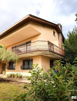 BERK Immobilien - Einfamilienhaus zum Verlieben mit Panoramablick & Waldrandlage in Klingenberg/Röllfeld - Klingenberg (Main)
