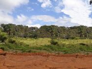 Brasilien 1'000 Hektar grosses Tiefpreis - Grundstück mit Rohstoffen in der Nähe der Öl-, Erdgas- und Goldstadt Silves AM - Waldshut-Tiengen