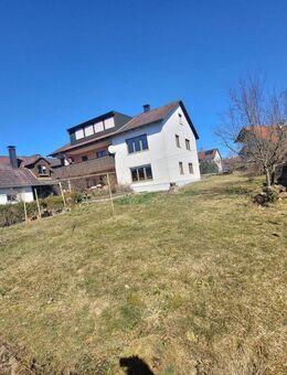 Große, sonnige 4 Zimmer-Wohnung mit überdachten Balkon und ca. 350 qm eigenem Garten! Sofort frei ! - Georgensgmünd