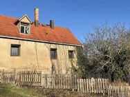 Altes Haus sucht neuen Besitzer! - Bernburg (Saale)