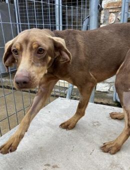 Zoe ist einfach nur lieb - Bergkirchen