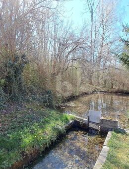 REICHLICH PLATZ MIT BACHLAUF UND EIGENEM WEIHER - Scheuring