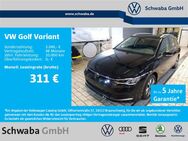 VW Golf Variant, 1.5 Move eTSI 16, Jahr 2024 - Gersthofen