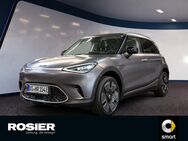 smart #1, Premium, Jahr 2024 - Braunschweig