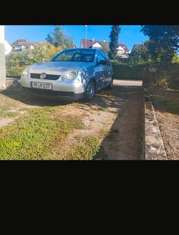 Zu verschenken, vw lupo winterreifen g60 Felgen - Illingen (Baden-Württemberg)