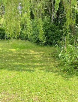 Große 4 Zi.- Wohnung mit Garten - Ulm