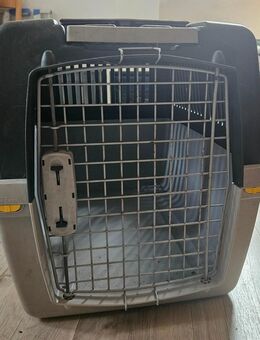 Hundetransportbox - Backnang