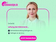 Leitung der Kämmerei (m/w/d) - Dettingen (Erms)